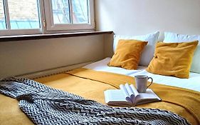 Old Town Charm One Bedroom Spacious Loft Apartment Nearby The Livu Square